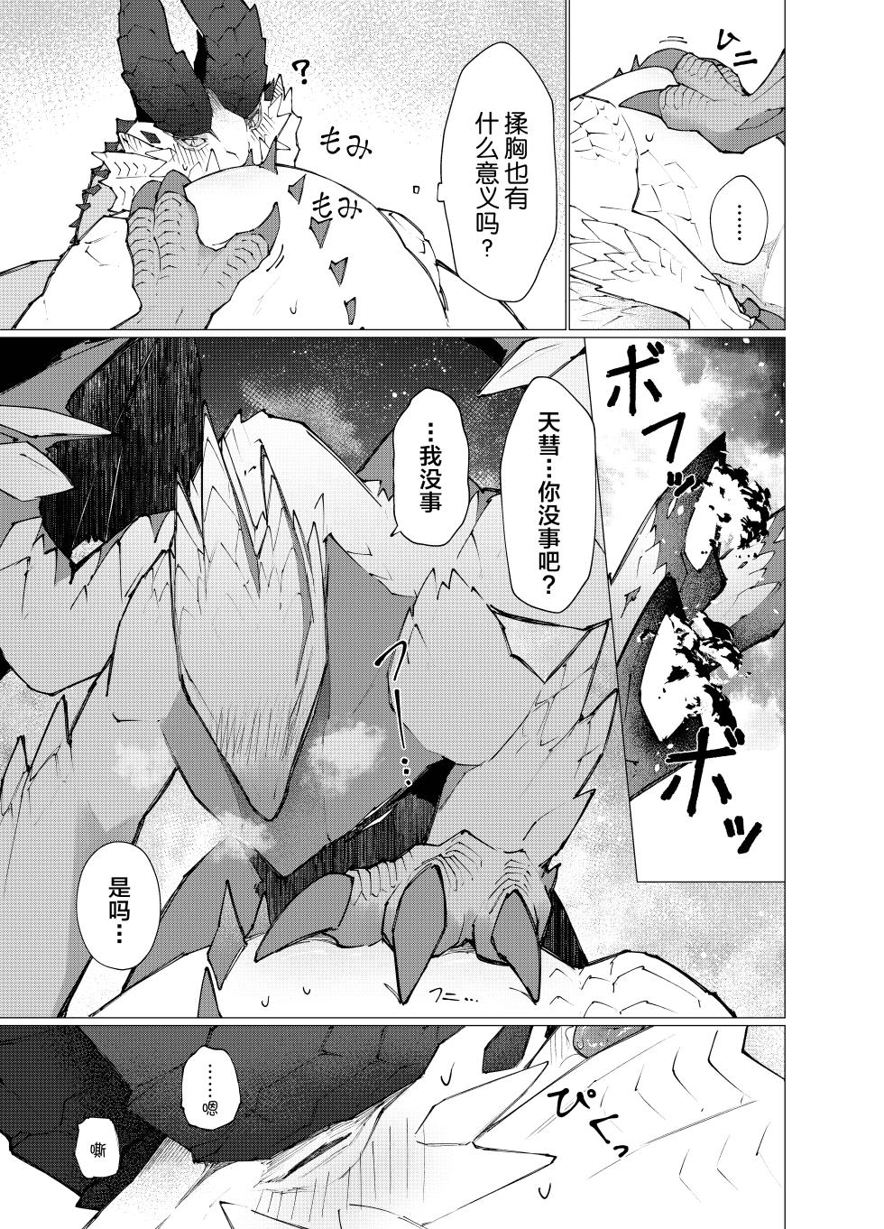 [Furufuru Aigodantai (taneimo)] Hoshi no Negai | 星愿 (Monster Hunter) [Chinese] [ZX个人汉化] [Digital] - Page 24
