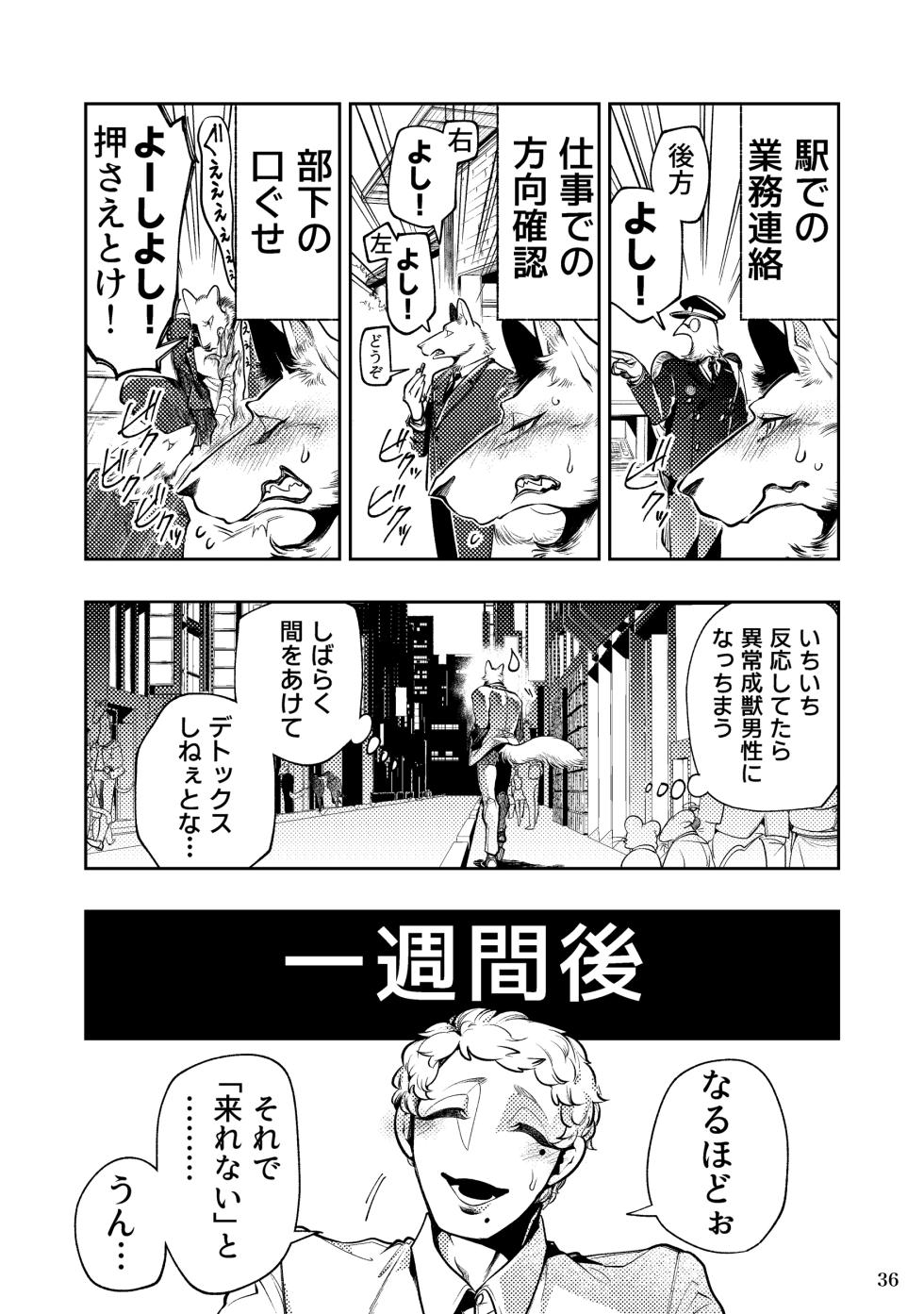 [GiGiGi Myou]狼獣人、人間風俗へ行く     総集編 - Page 36