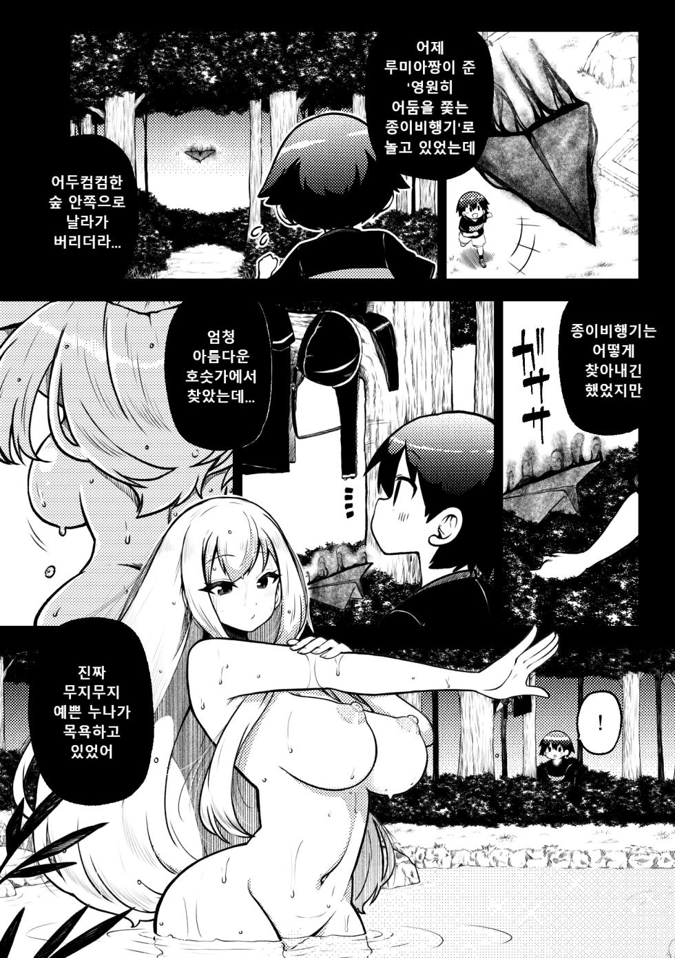 [Shoujo Rakugakichuu (Himajin no Izu)] skeb na Gensou Shoujo Shuu 8 | 음란한 환상 소녀집 8 (Touhou Project) [Digital] [Korean] - Page 7