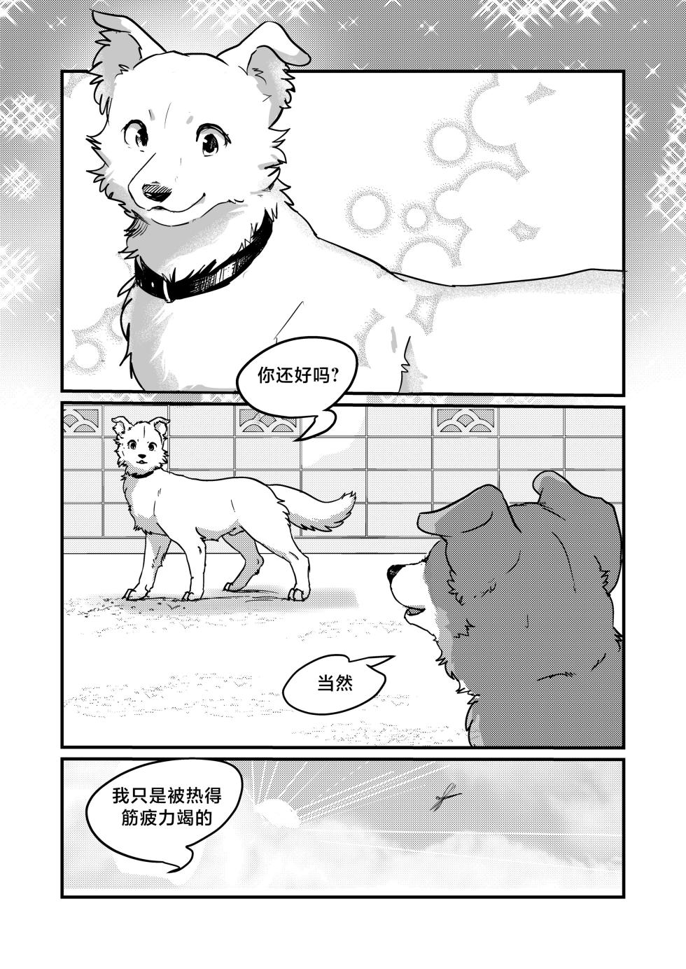 [Kon Juuichibai (Momou)] 既然我变成狗了，那不就得和狗H吗？！ [海豚之涌众筹汉化] [Digital] - Page 4