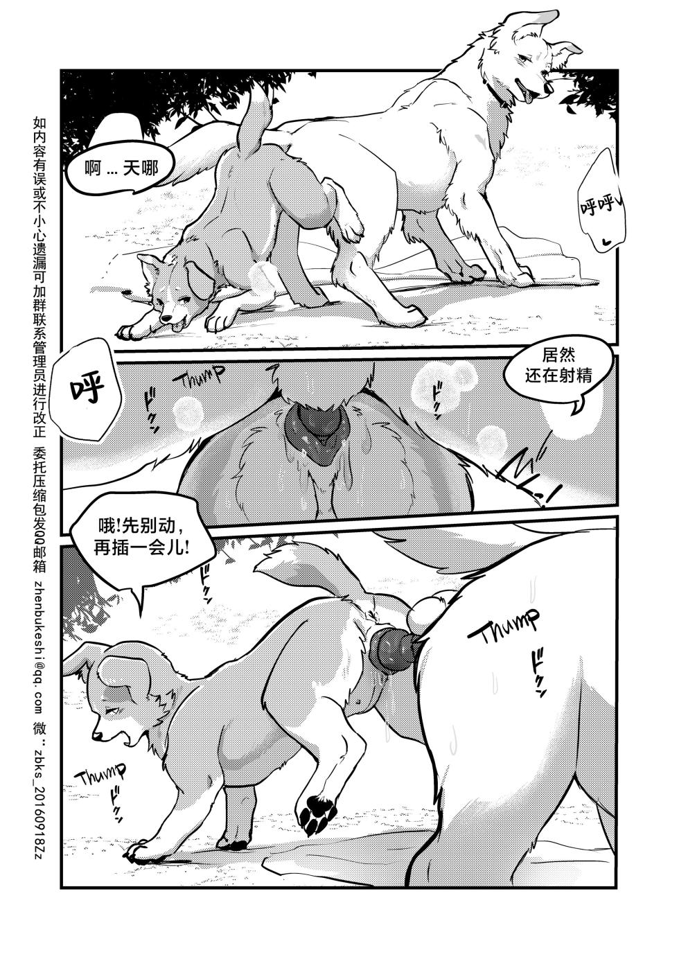 [Kon Juuichibai (Momou)] 既然我变成狗了，那不就得和狗H吗？！ [海豚之涌众筹汉化] [Digital] - Page 18