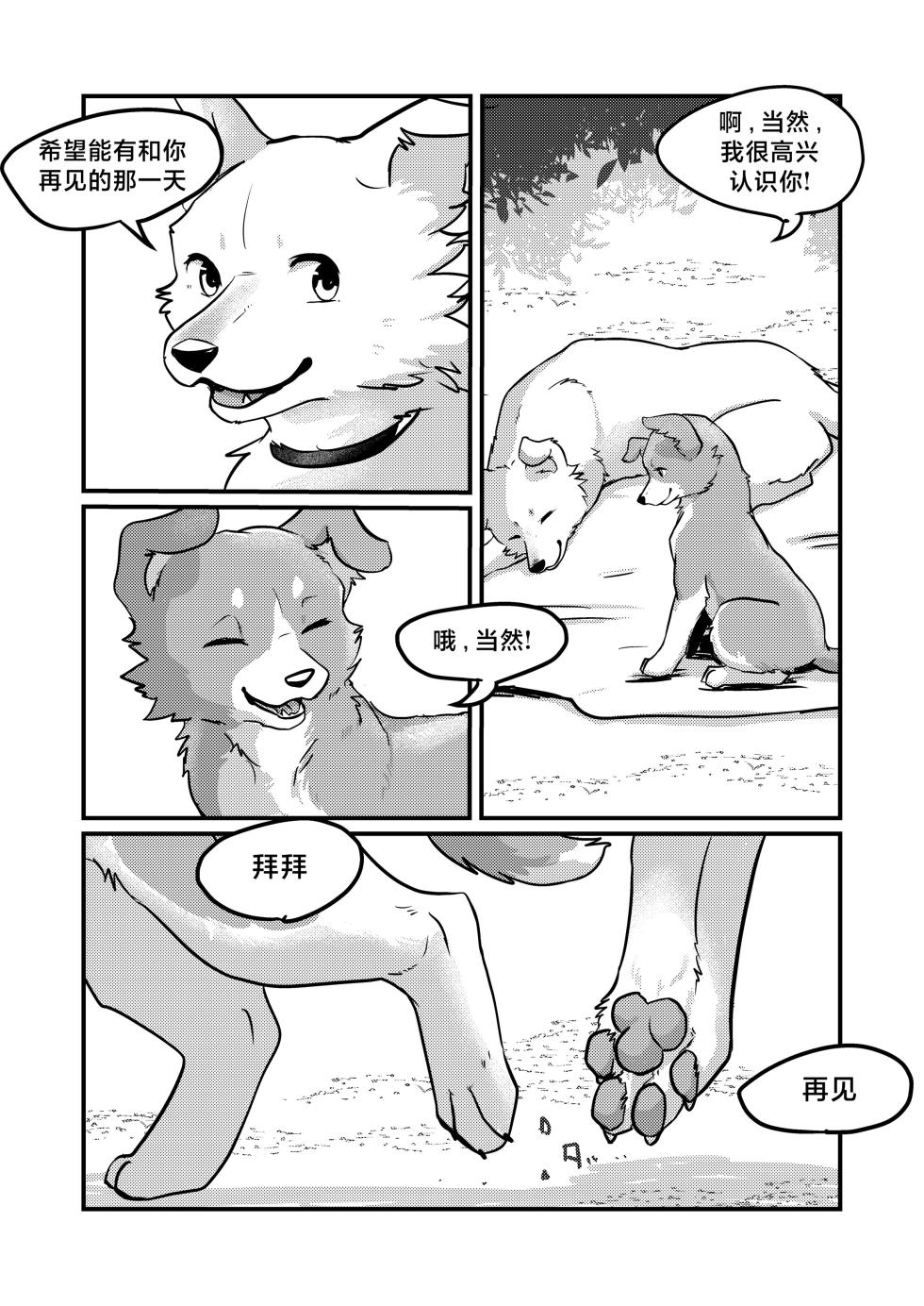 [Kon Juuichibai (Momou)] 既然我变成狗了，那不就得和狗H吗？！ [海豚之涌众筹汉化] [Digital] - Page 21