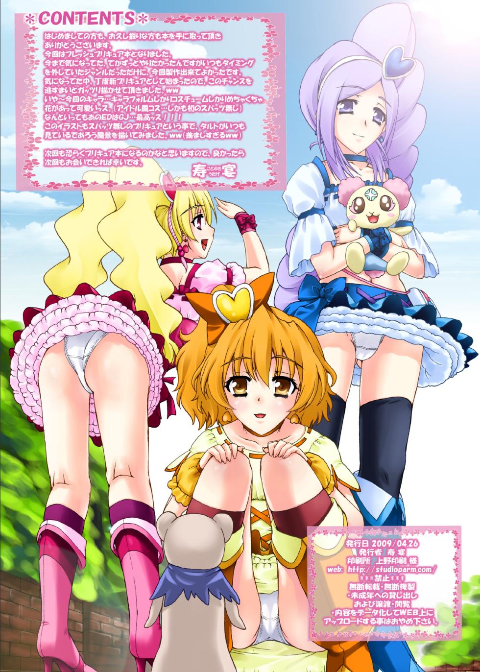 [Studio★ParM (Kotobuki Utage)] PM 20 - Mogitate Fresh Niku Joku Kajitsu (Fresh Precure!) [English] {doujin-moe.us} - Page 3