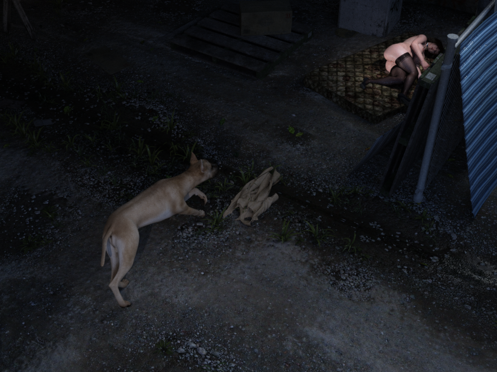 [夏不夏亚] 欲求不满人妻李梦珍 深夜露出 - 狗子篇 - Page 3