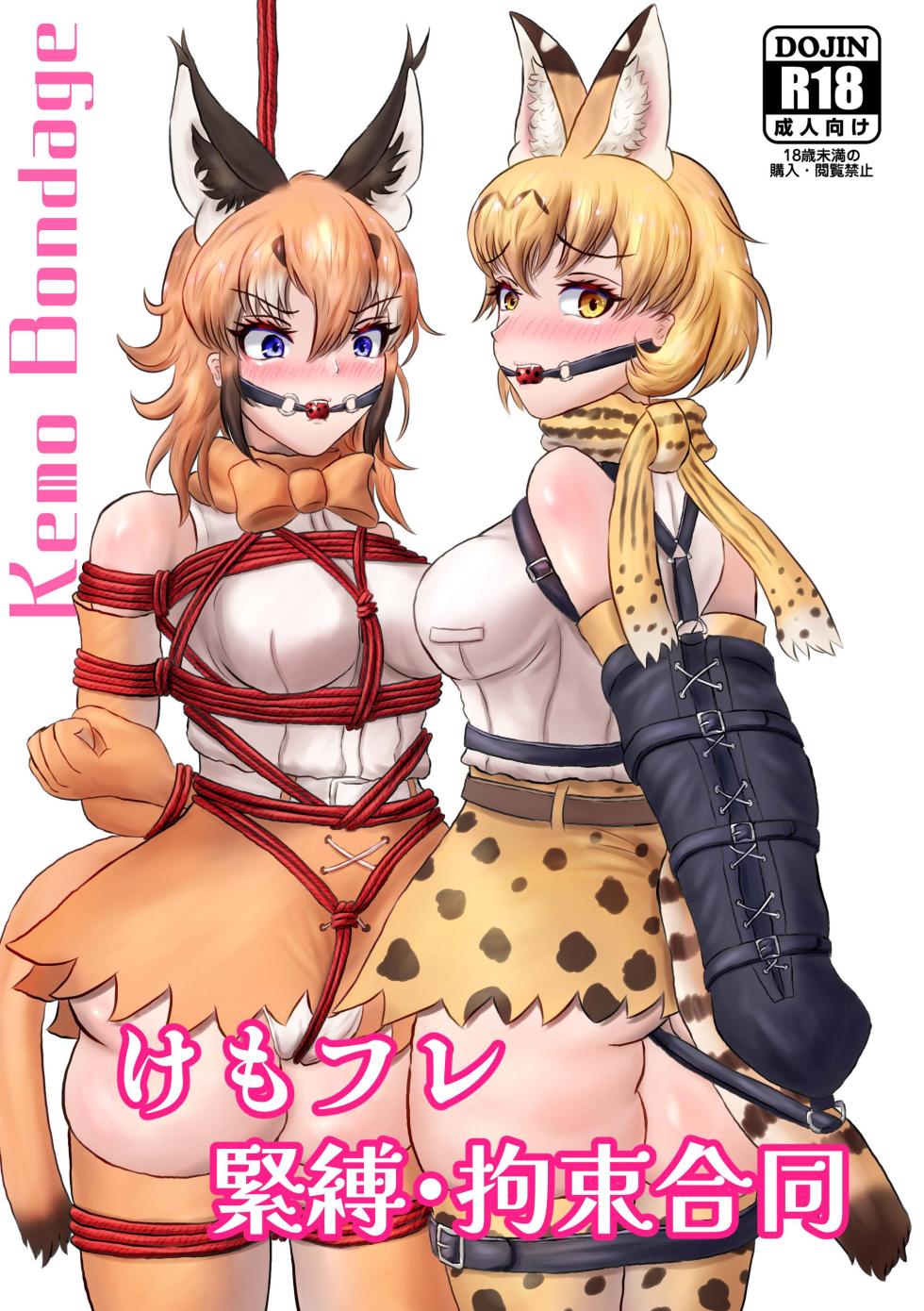 [Rorei Howittonee (Various)] Kemo Fri kinbaku kousoku goudou (Kemono Friends) [Digital] - Page 1