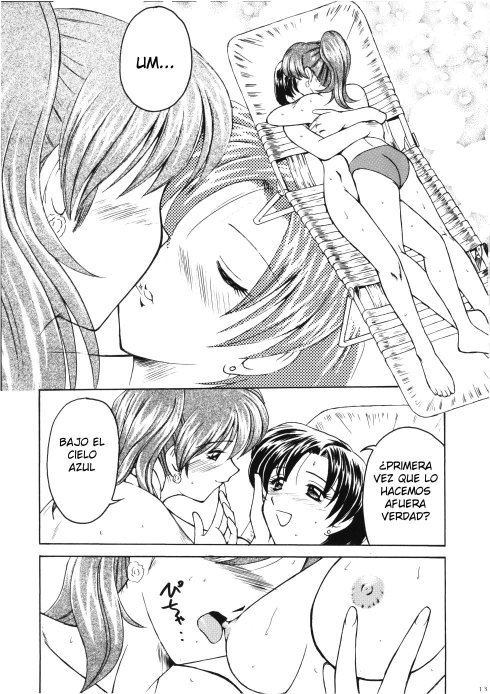 (C54) [T-Press (ToWeR)] PERFECT HARMONY (Bishoujo Senshi Sailor Moon) [Spanish] [Satoru] - Page 13