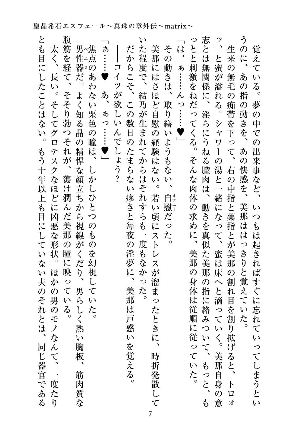 【ADU】聖晶希石エスフェール～真珠の章外伝～matrix～ - Page 9