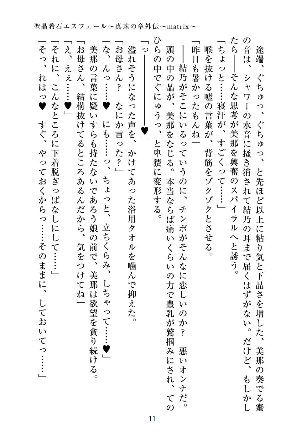 【ADU】聖晶希石エスフェール～真珠の章外伝～matrix～ - Page 13
