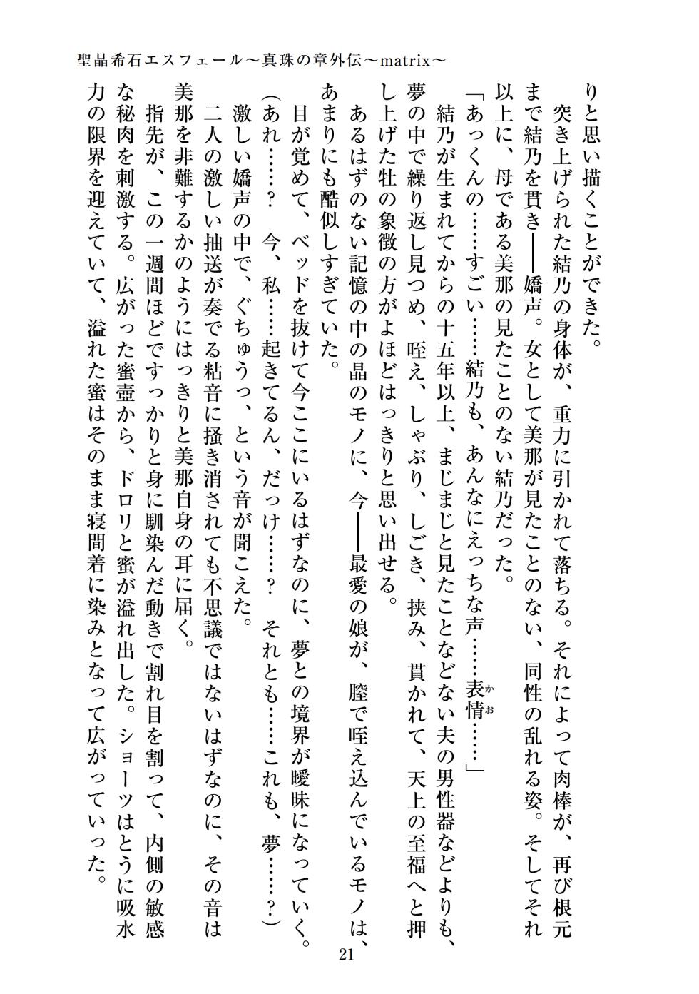【ADU】聖晶希石エスフェール～真珠の章外伝～matrix～ - Page 23