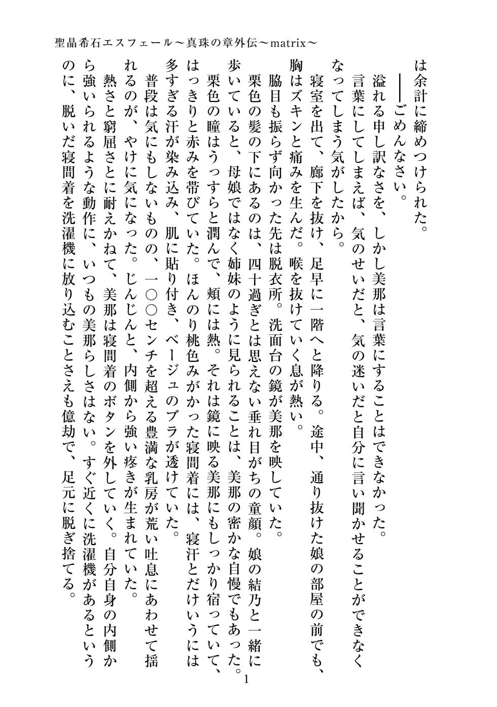 【ADU】聖晶希石エスフェール～真珠の章外伝～matrix～ - Page 3