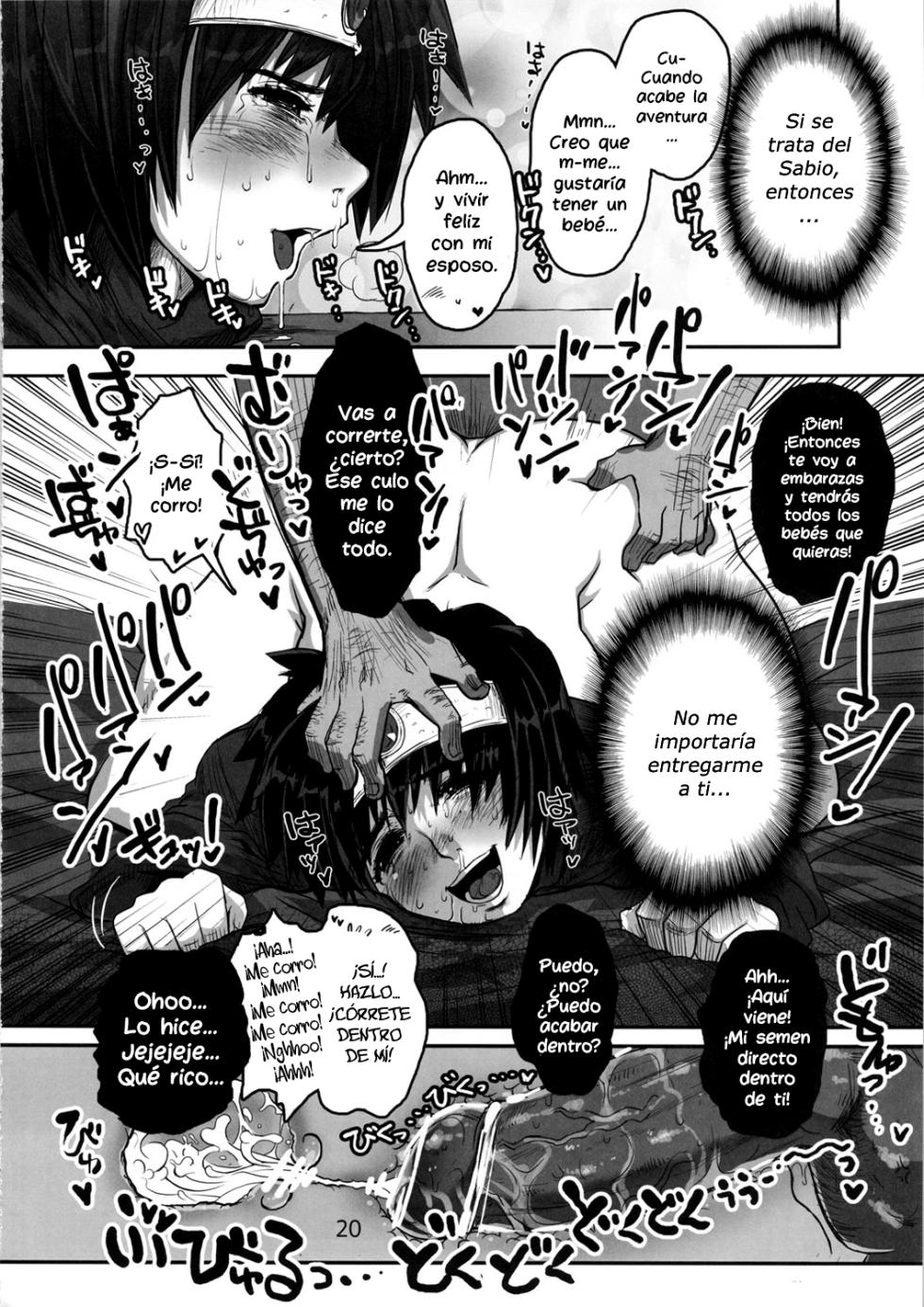 (C82) [8graphica (Yoshitama Ichirou, Nanakichi.)] Metabolism DQ-U Hatsuiku Ryoukou na Onna Yuusha wo Netocchau Ohanashi. (Dragon Quest III) [Spanish] {Lanerte} - Page 19