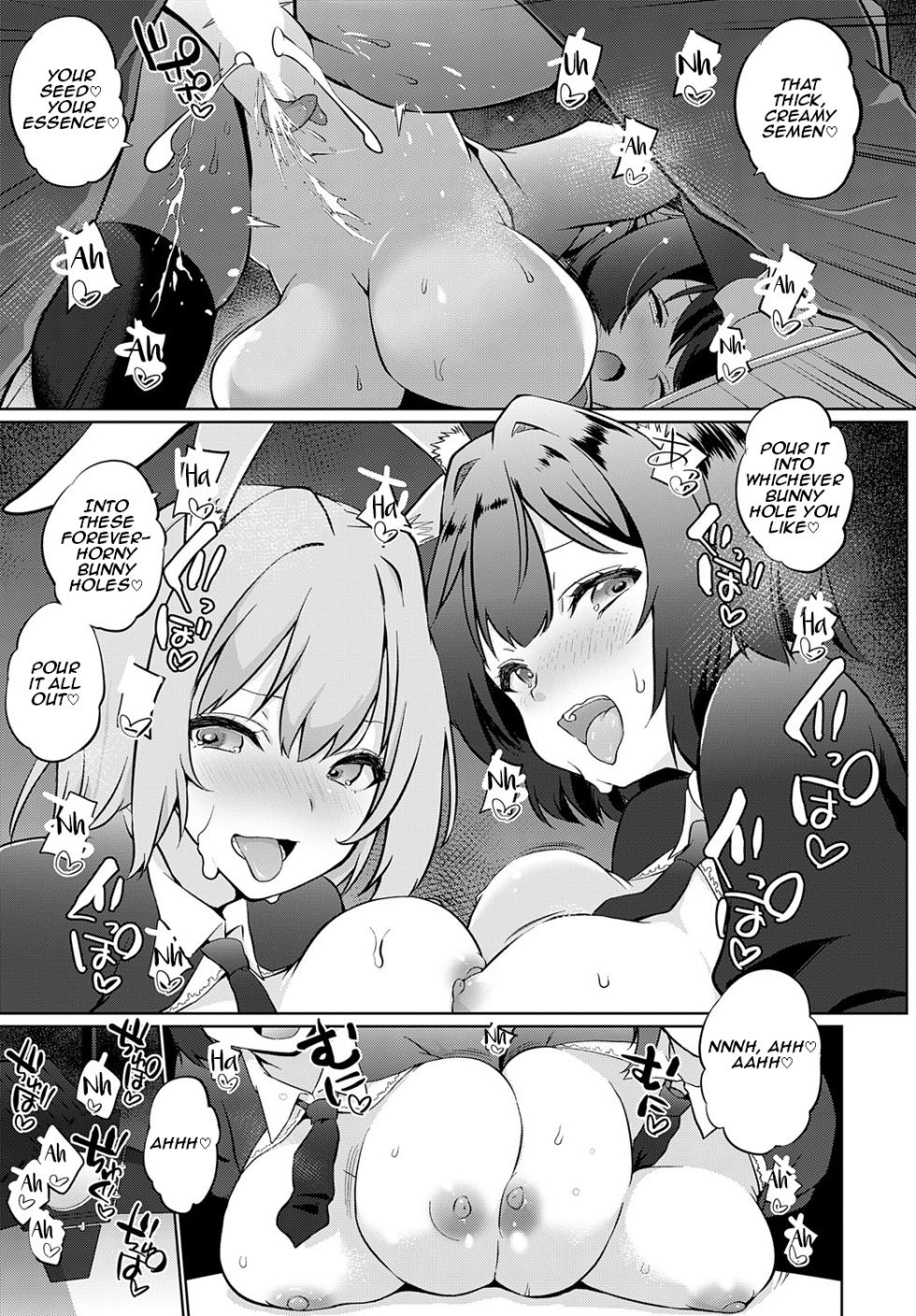 [Kaiduka] Koubi Shiyou yo Usagi-kko | Let’s Mate♡ Little Bunny (COMIC Anthurium 2025-05) [English] [Aishi21] [Digital] - Page 17