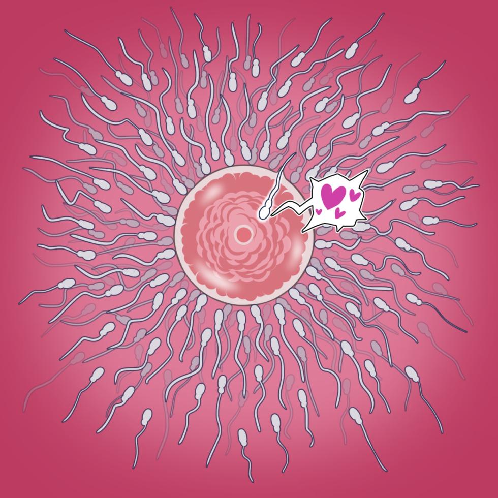 [Straw] Yumi no Ryuugaku | 由美的留学生活 [Chinese] [Ongoing] - Page 23