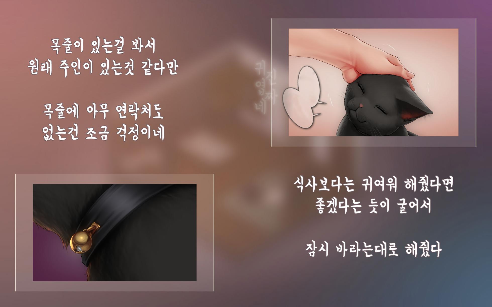 [Horiishi Horuto] Nekosakyu! -Mia to Nora no Sakusei Seikatsu- | 네코서큐!~미아와 노라의 착정성활 [Korean] - Page 15