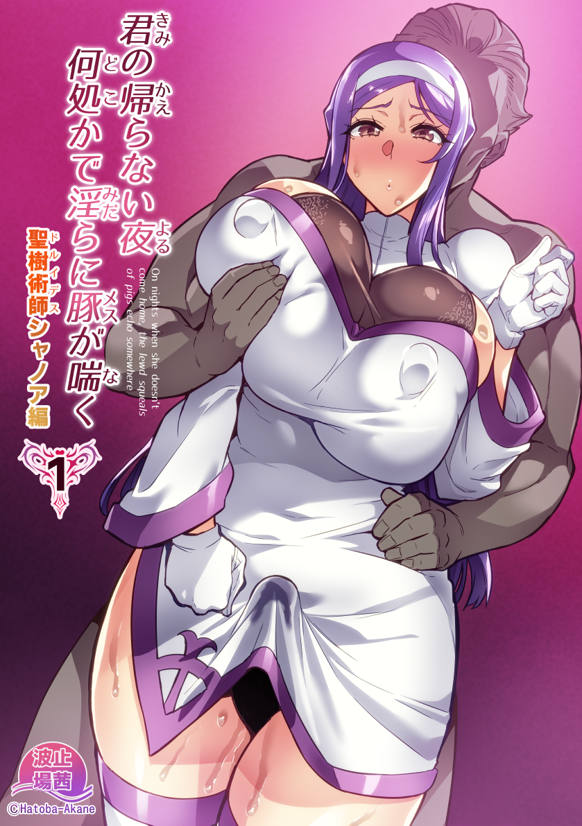 [Hatoba Akane] Kimi ga Kaeranai Yoru Dokoka de Midara ni Buta ga Aeku Ch. 1-2 [Chinese] [MTL] - Page 1