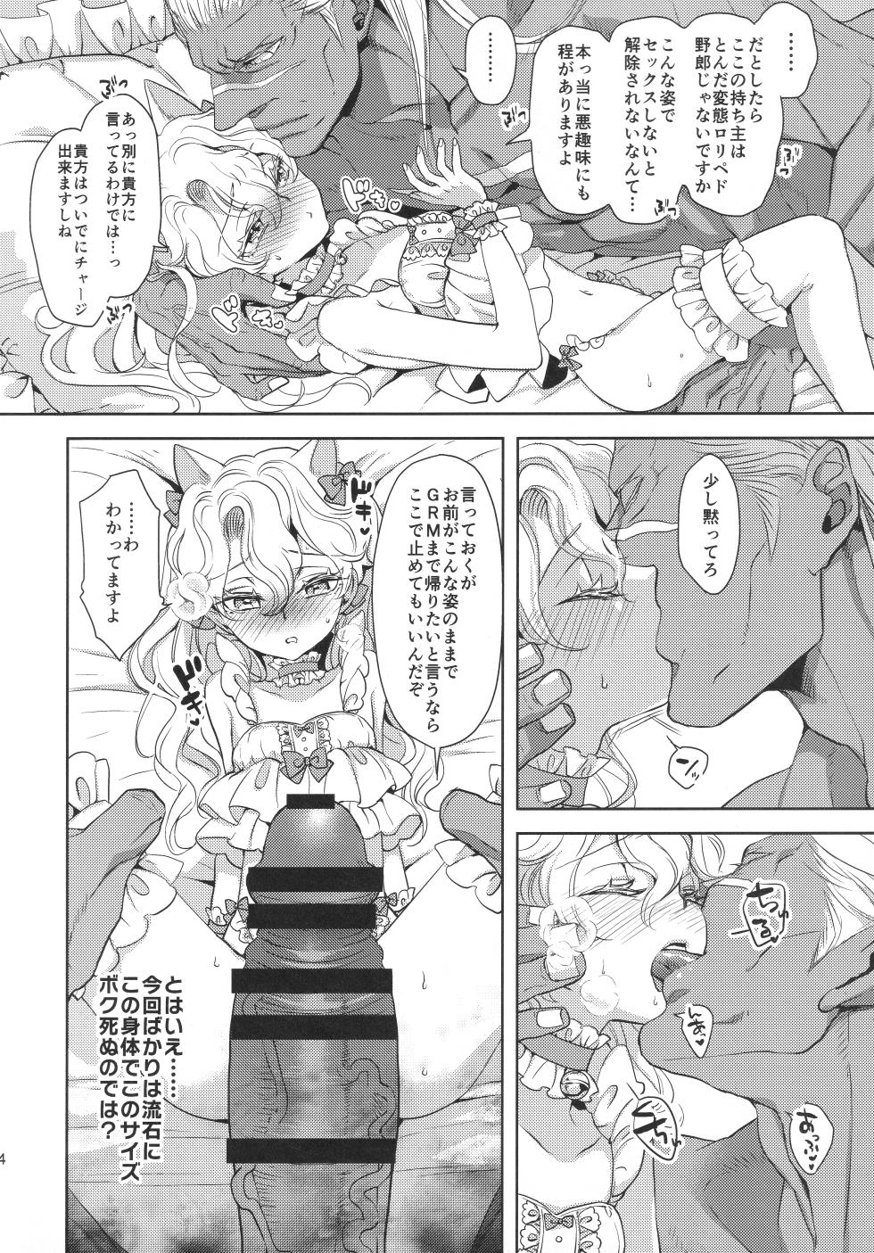 (C106) [CHERRY BLOSSOMS (Yuri)] あれは呪いの媚猫装備 (Phantasy Star Universe) - Page 13