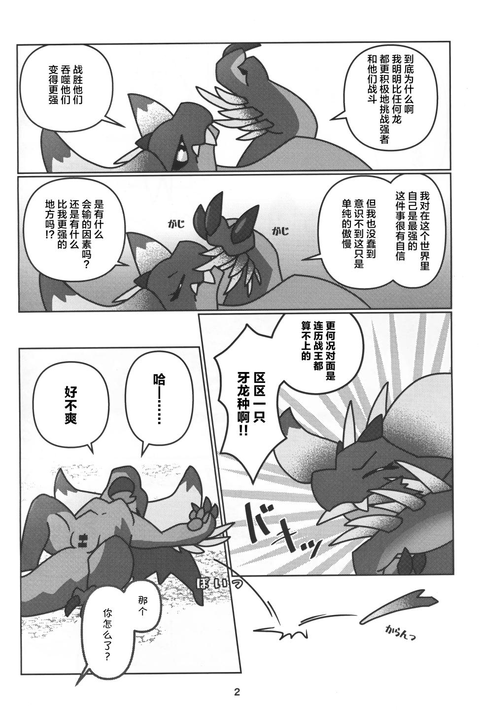 (Shinshun Kemoket 11) [Daaonzu Yoryusho (Daaon)] Senmetsu no Nushi wa Mono tari nai!! | 歼灭之主永不满足!! (Monster Hunter) [Chinese] [ZX个人汉化] - Page 3
