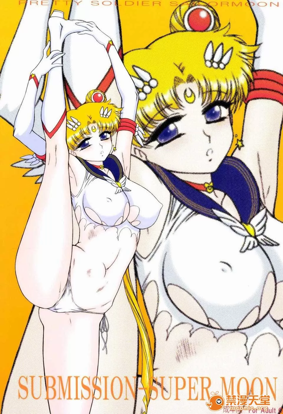 (C84) [BLACK DOG (Kuroinu Juu)] SUBMISSION-SUPER MOON (Bishoujo Senshi Sailor Moon) [Chinese] [Colorized] - Page 1
