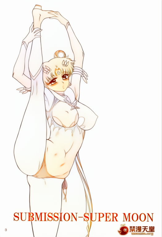 (C84) [BLACK DOG (Kuroinu Juu)] SUBMISSION-SUPER MOON (Bishoujo Senshi Sailor Moon) [Chinese] [Colorized] - Page 3