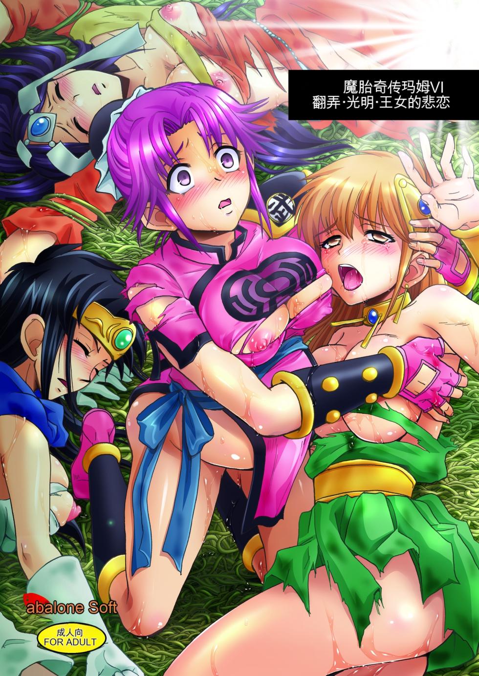 [Abalone Soft (Modaetei Imojirou)] Mataikiden Maam VI ~Honrou. Koumyou. Oujo no Hiren~ (Dragon Quest Dai no Daibouken) [Chinese] [Digital] - Page 1