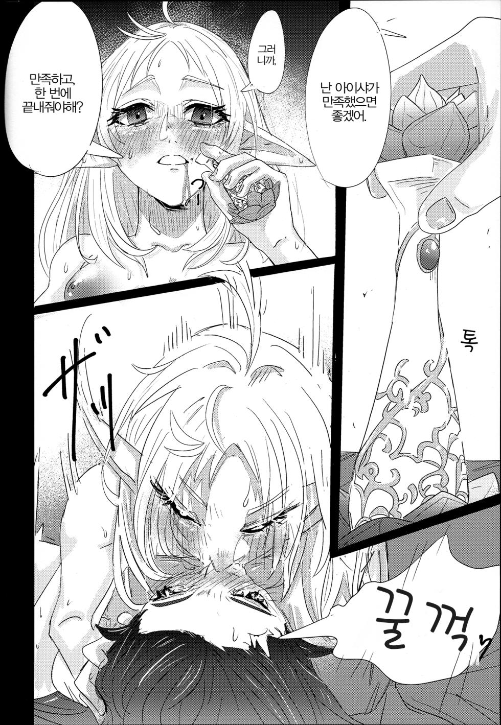 (C106)[Shiro Mama Kyou (ell ura)] Aishietto Aisha × Sylphiette Book [Korean] - Page 26