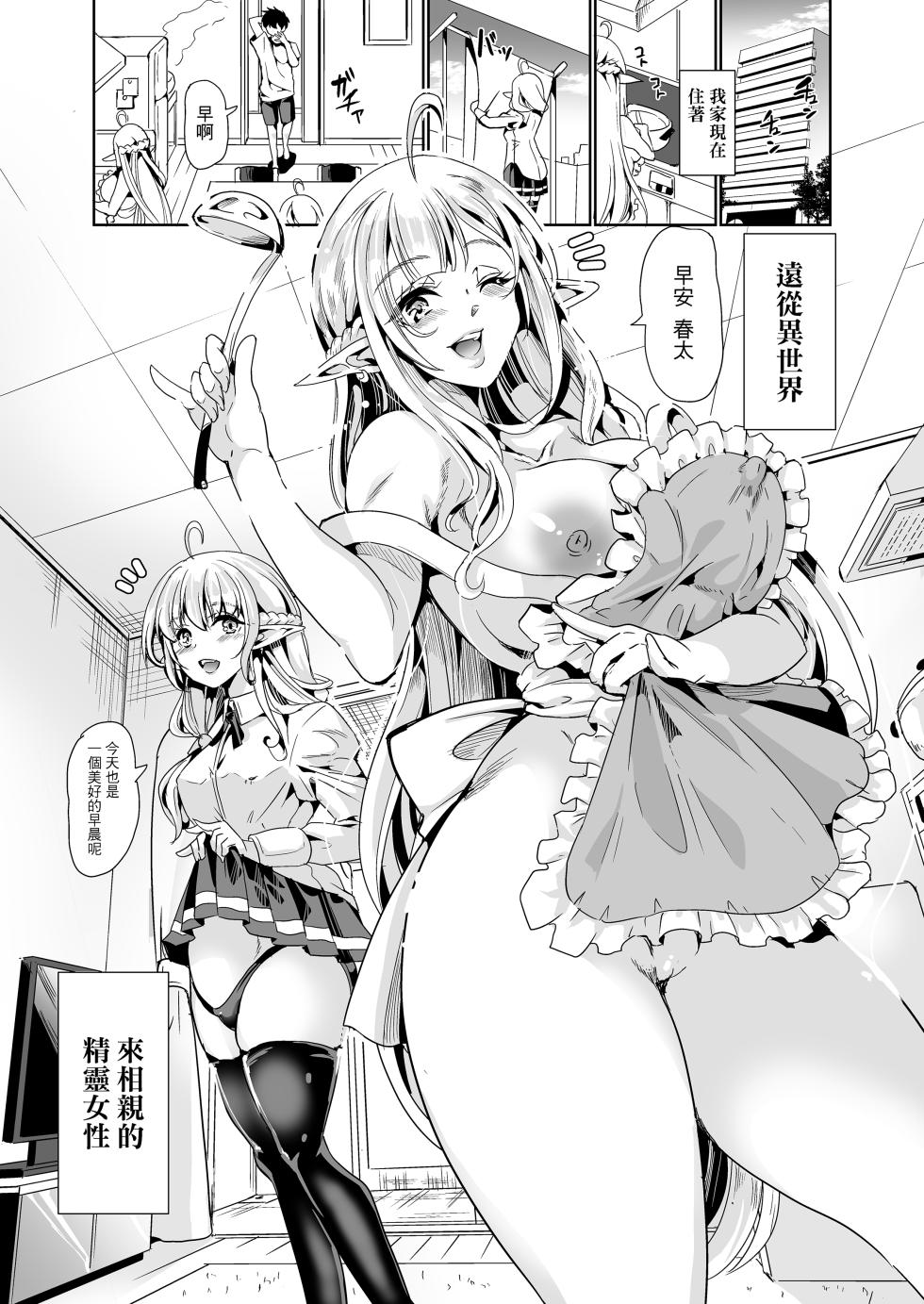 [弥美津峠 (鳳まひろ)] スケベエルフ姉妹、婚活に来る 總集篇 [中文] [無修正] - Page 9