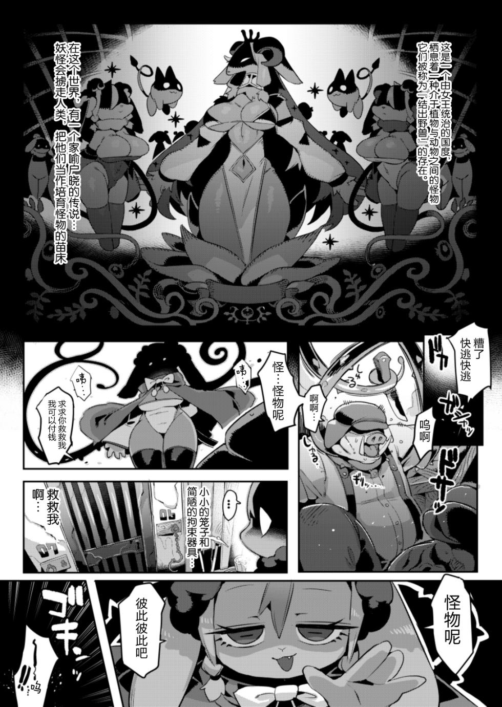 [Denkishiki (Rikose)] Otogi no Kuni Barometzia  - Fairy Tale Kingdom of Barometzia | 梦幻之国巴罗梅齐亚 [Chinese]  [海豚之涌众筹汉化]  [Digital] - Page 2