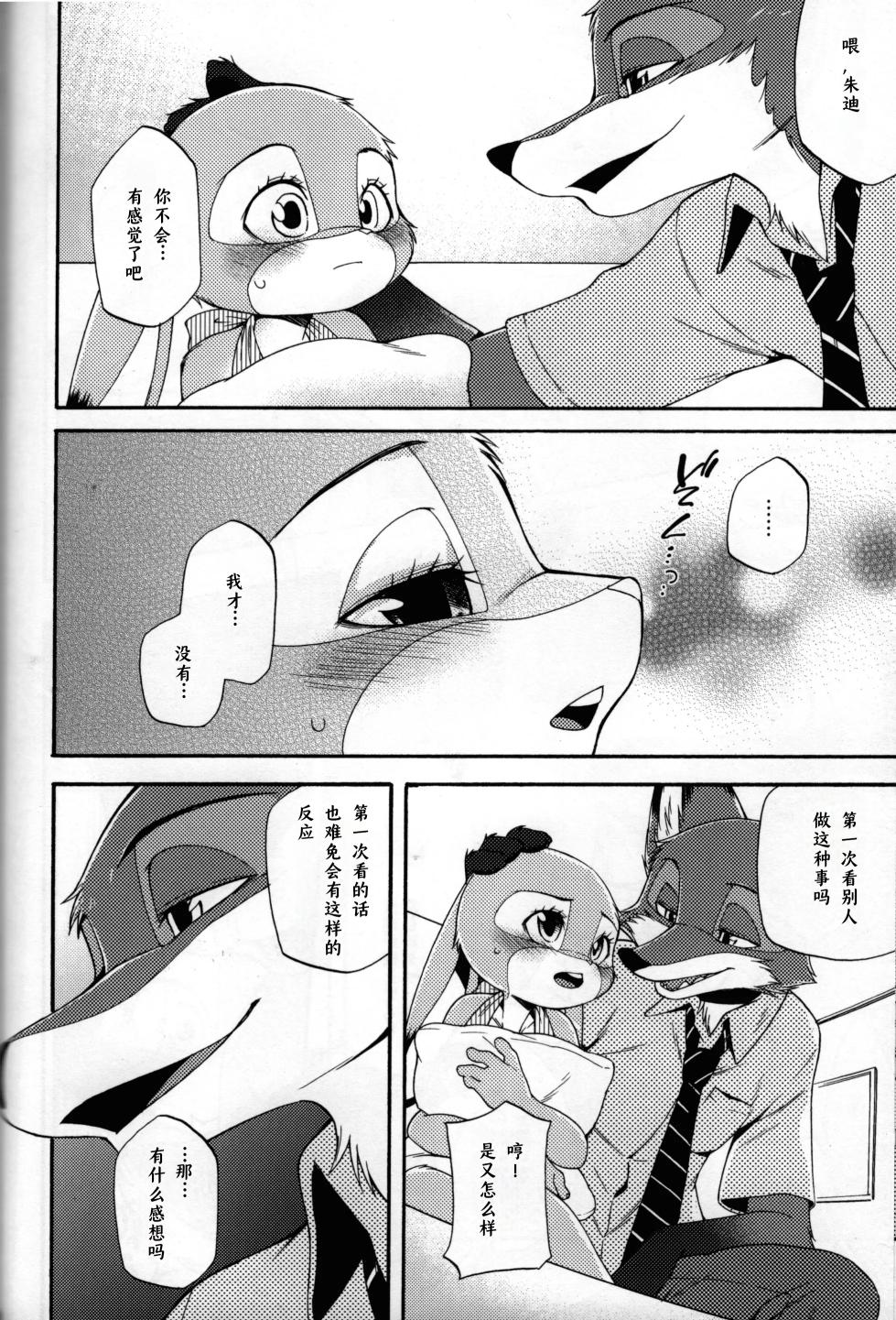 [Dogear (Inumimi Moeta)] POV.●REC (Zootopia) [Chinese] [小阳个人汉化] - Page 9