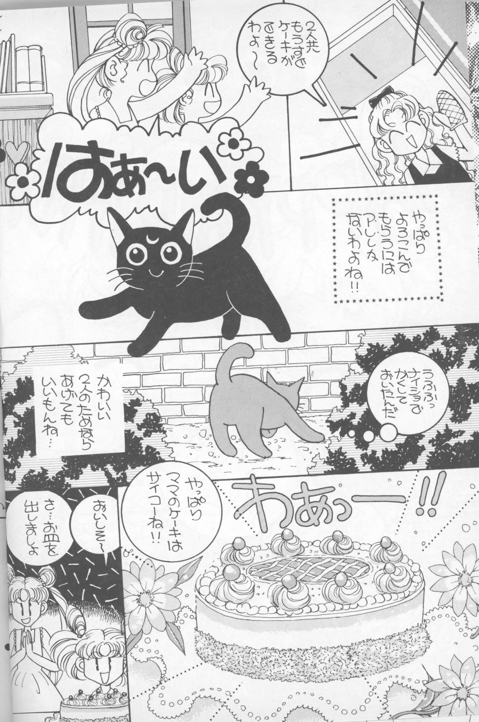 [EASY＆PALELILAC (Izumi Sho, Omori Madoka)] HAPPY BIRTHDAY BOOK vol.2 (Bishoujo Senshi Sailor Moon) - Page 33