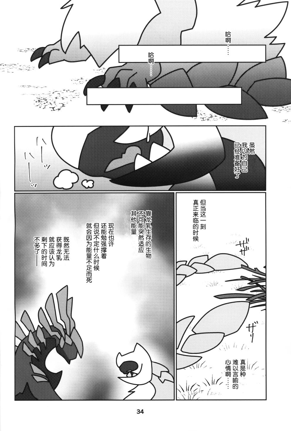 (Kansai Kemoket 10) [Daaonzu Yoryusho (Daaon)] Kusarijin no Ato ni Yume o Takushite | 将梦想寄托于锁刃的痕迹 (Monster Hunter) [Chinese] [ZX个人汉化] - Page 35