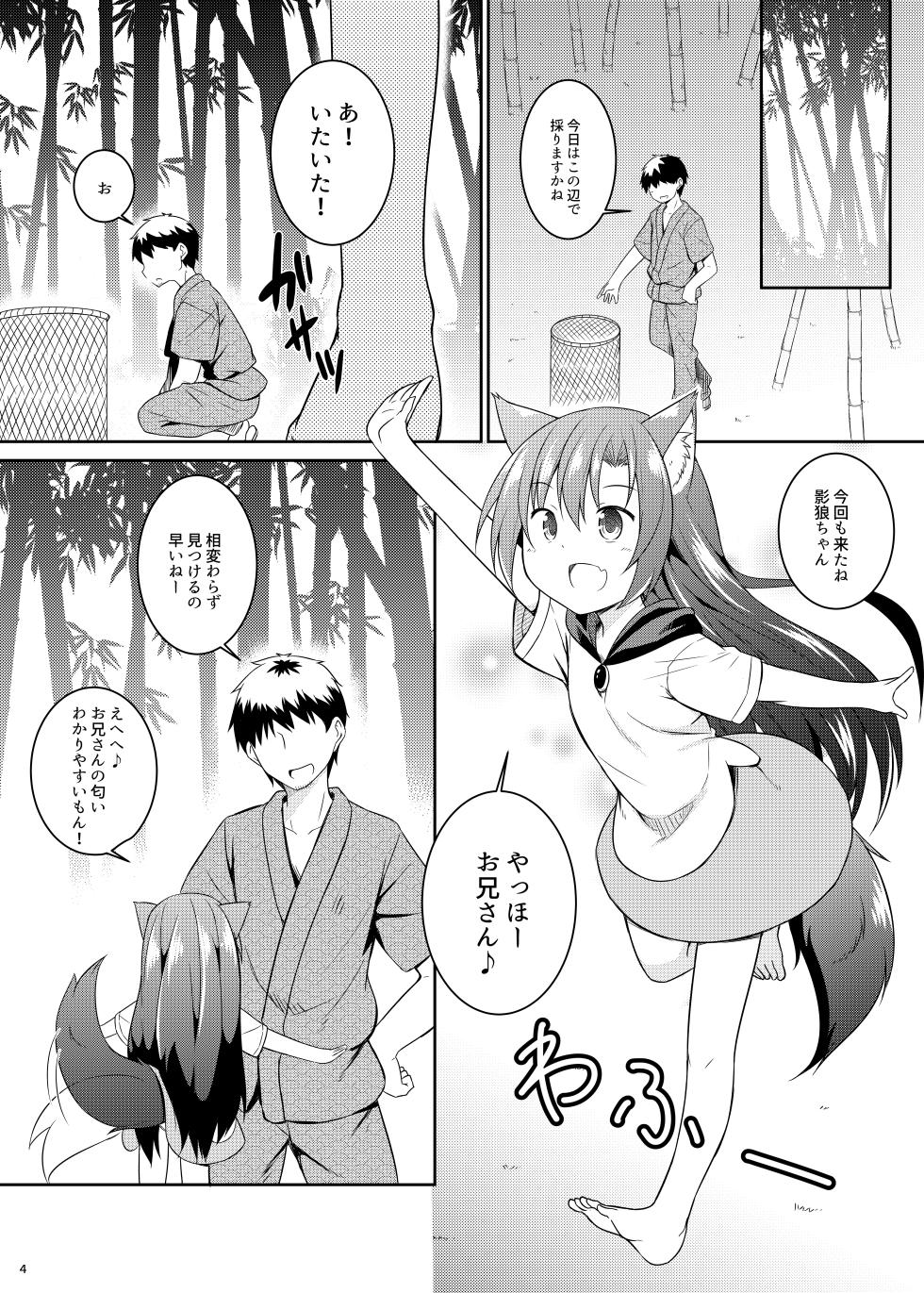 [Tonzura Douchuu (Kazawa)] Saimin Ookami (Touhou Project) [Digital] - Page 4