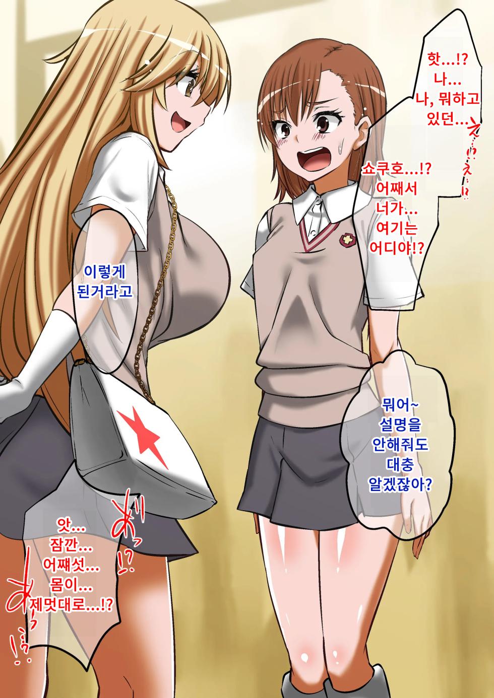 [Dining] Biribirimazo Buta Keikaku | 찌릿찌릿 마조돼지 계획 (Toaru Kagaku no Railgun)  [Korean] - Page 4
