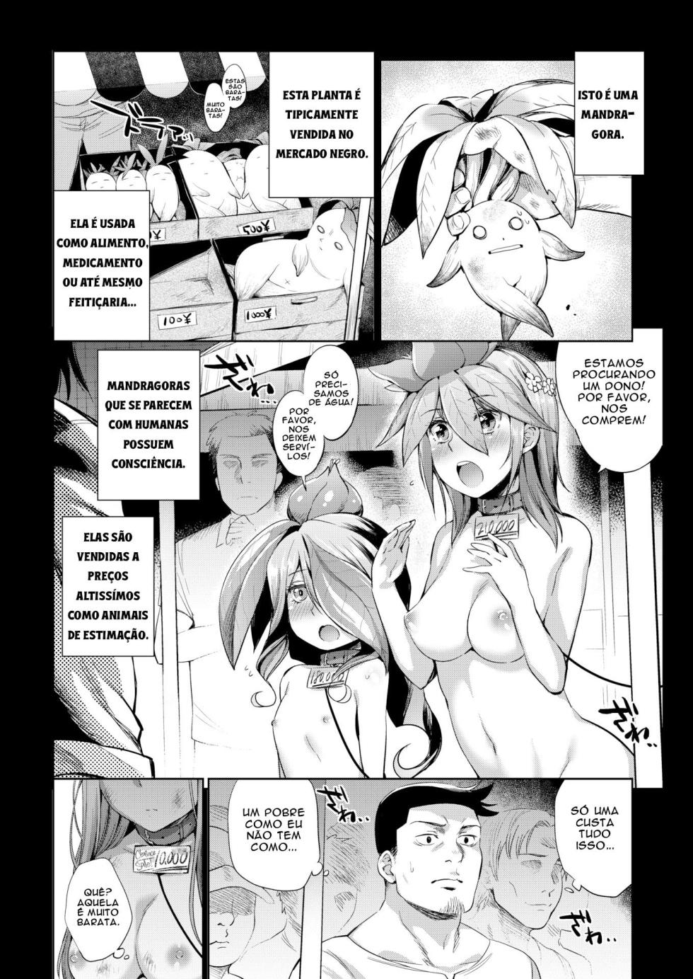 [Mizone] How to Raise Plants [Portuguese] [Descensored] - Page 4