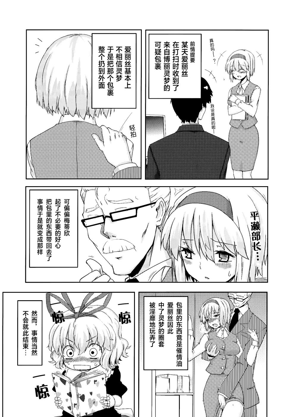 (C78) [Jalapeno Chips (Uro)] Heart Potion  | 心之秘药 (Touhou Project) [Chinese] [24K同人汉化] - Page 3