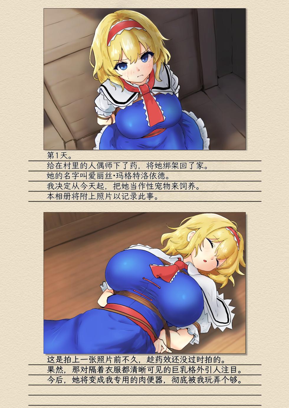 [Seinaru Idokoro (hinben)] Alice Margatroid Kankin Album | 爱丽丝・玛格特洛依德监禁专辑 (Touhou Project) [Chinese] [MTL] [Digital] - Page 4