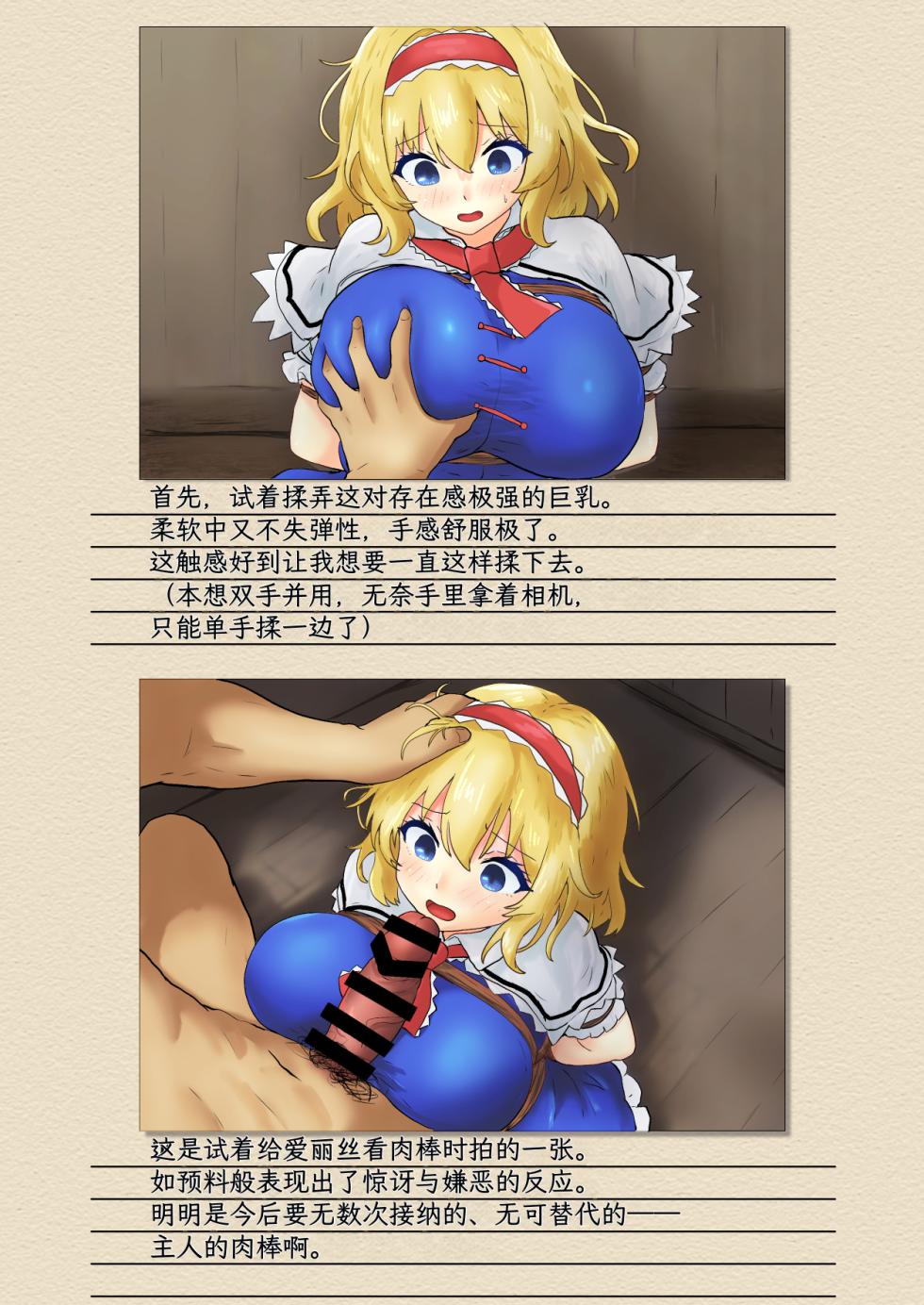 [Seinaru Idokoro (hinben)] Alice Margatroid Kankin Album | 爱丽丝・玛格特洛依德监禁专辑 (Touhou Project) [Chinese] [MTL] [Digital] - Page 6