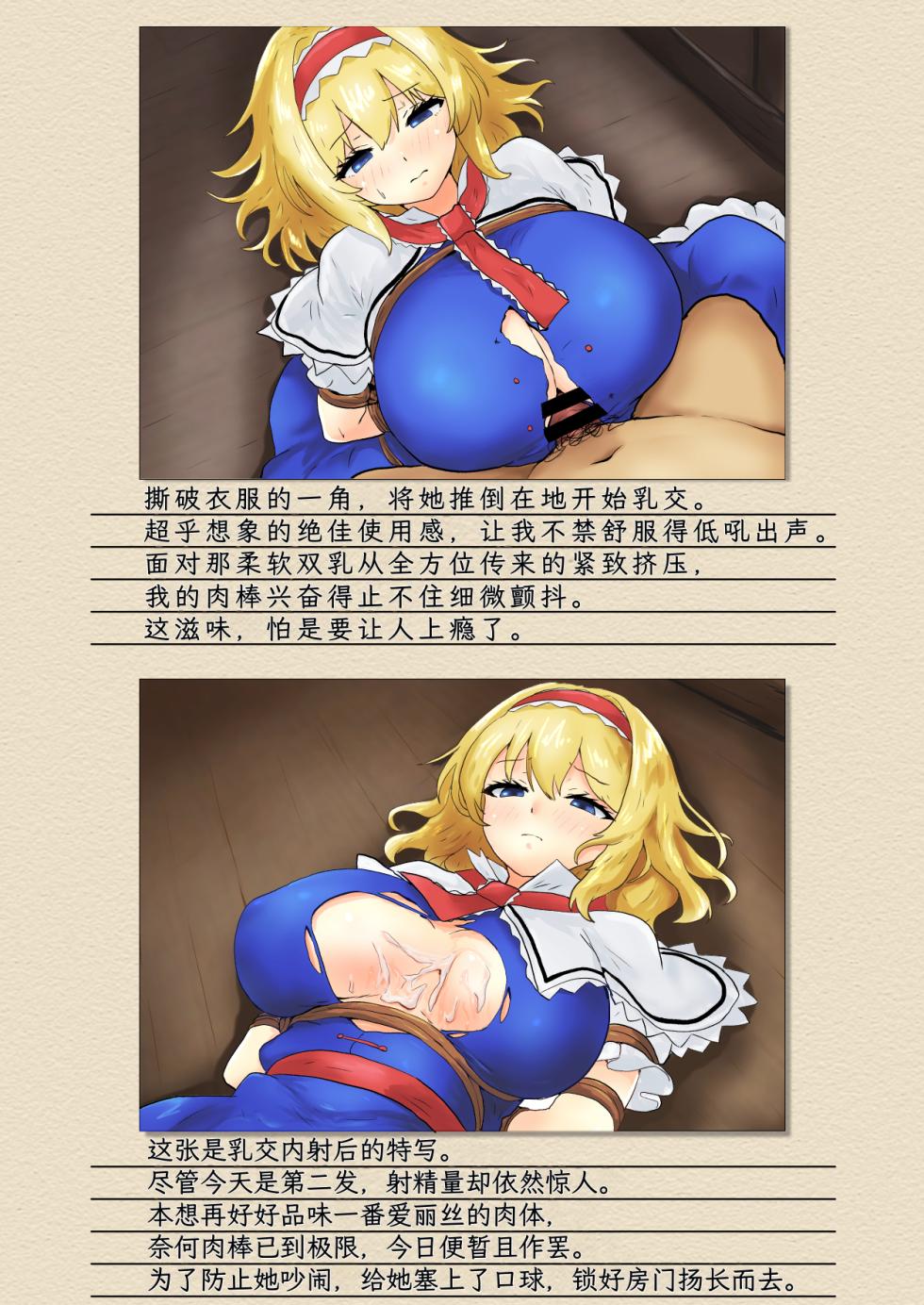 [Seinaru Idokoro (hinben)] Alice Margatroid Kankin Album | 爱丽丝・玛格特洛依德监禁专辑 (Touhou Project) [Chinese] [MTL] [Digital] - Page 8
