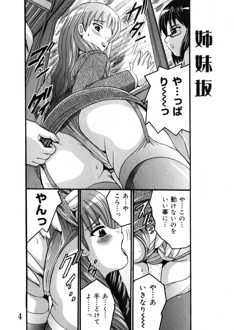 [Shioya (Shioya Maico)] SHIO!EX 13 [Digital] - Page 3