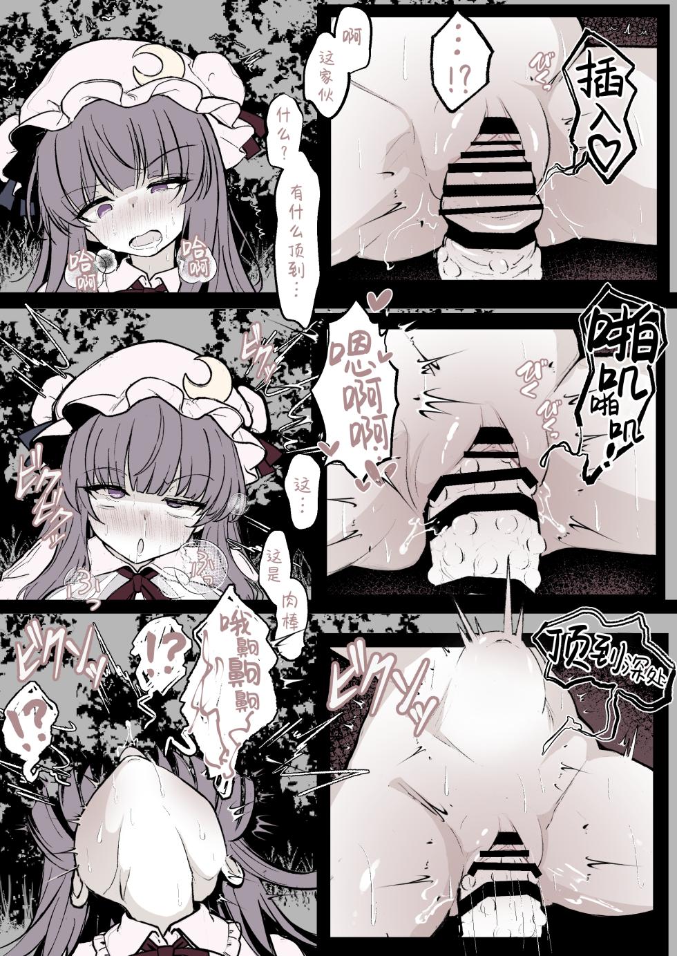[Hatome Honpo (Hatome)] Patchouli ga Ana ni Hamatte Shokushu ni Tanetsuke Sarechau Manga (Touhou Project) [Chinese] [紫藤汉化组] - Page 8