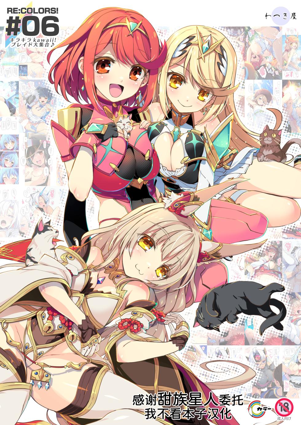 [Watsukiya (Watsuki Rumi, Yuuki Sei)] RE:COLORS!# 06 Kanojo ga Mizugi ni Kigaetara Rakuen ni Ichiban Chikai Shima!? (Xenoblade Chronicles 2, Xenoblade Chronicles 3) [Chinese] [甜族星人x我不看本子汉化] [Digital] - Page 1