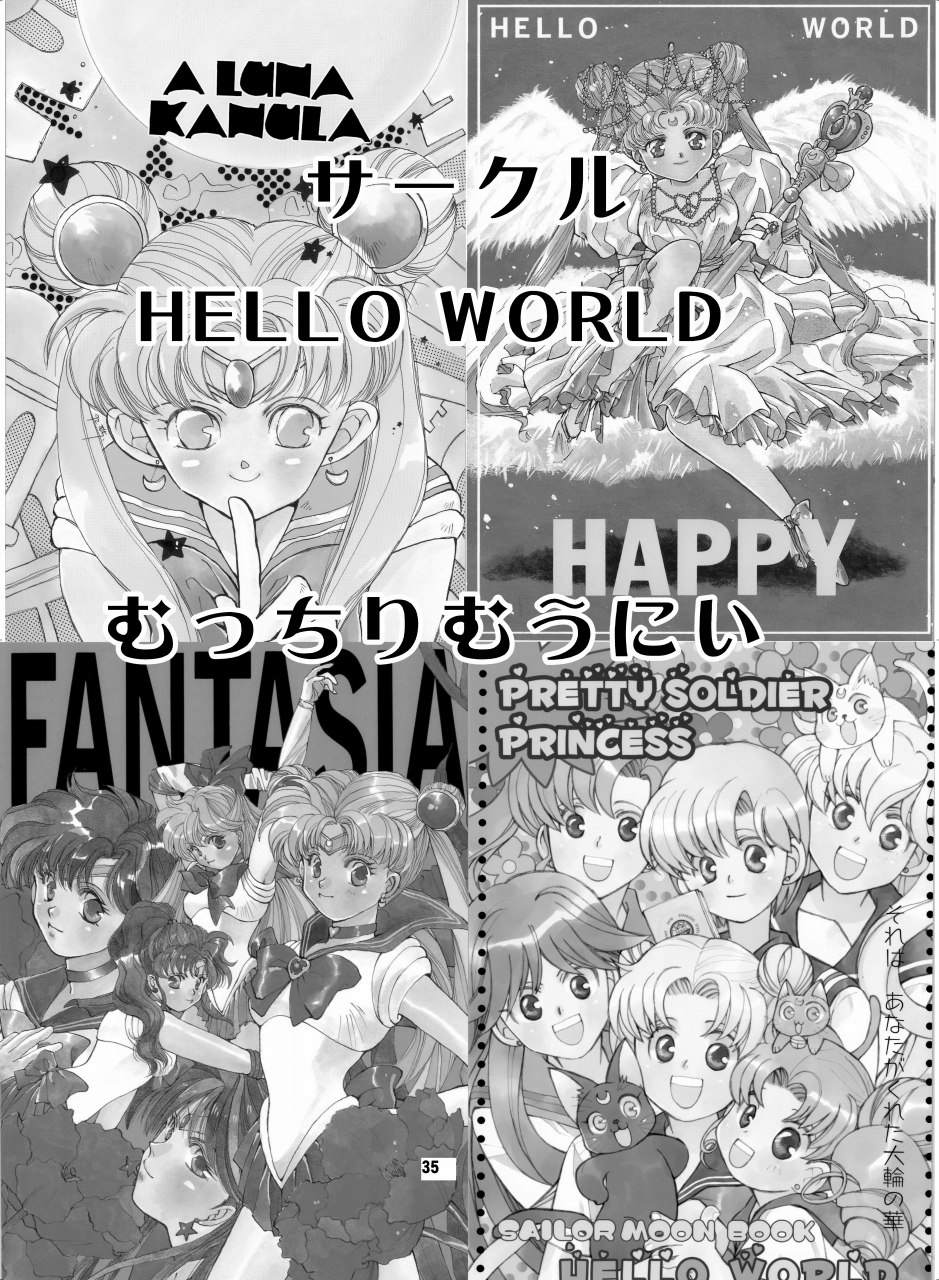 [Hana Disco (Various)] Sailor Moon Dokubon (Bishoujo Senshi Sailor Moon) [Digital] - Page 34
