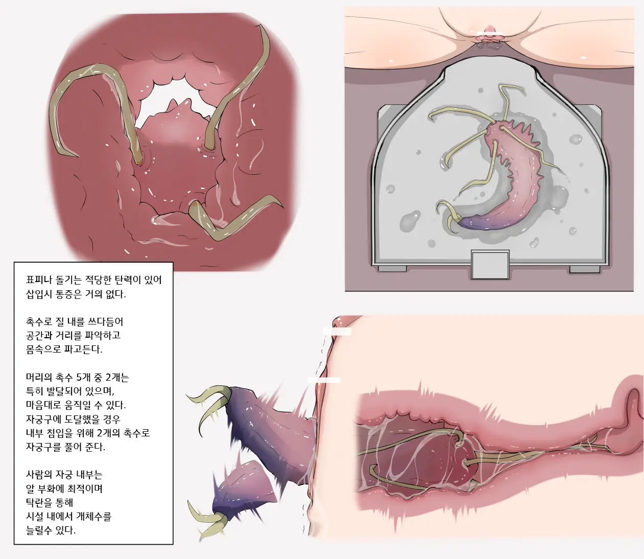 [gura] Insect Research Report - Page 3