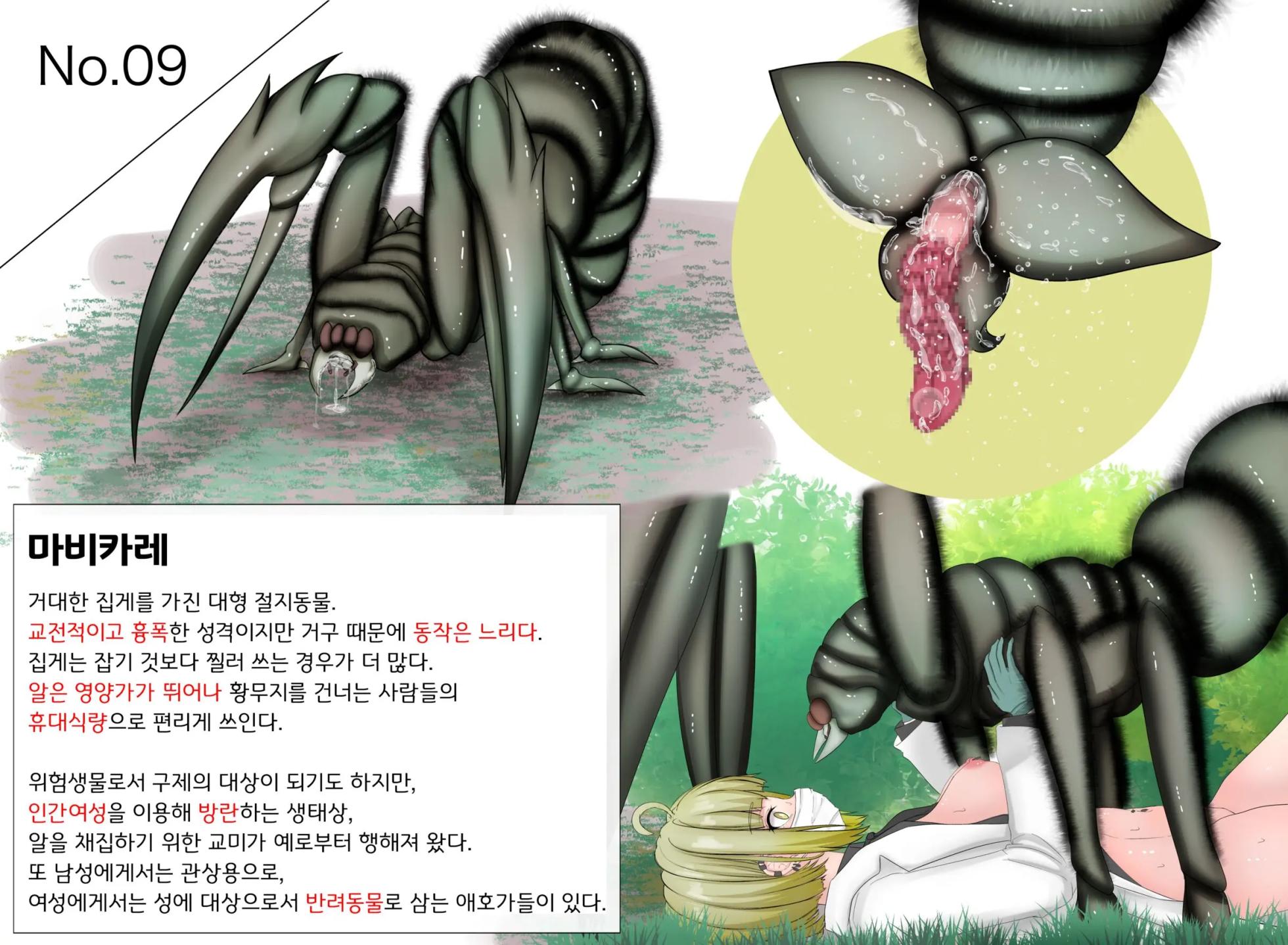 [gura] Insect Research Report - Page 38