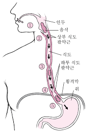 [Blackguard] Athena and Venat - Page 33