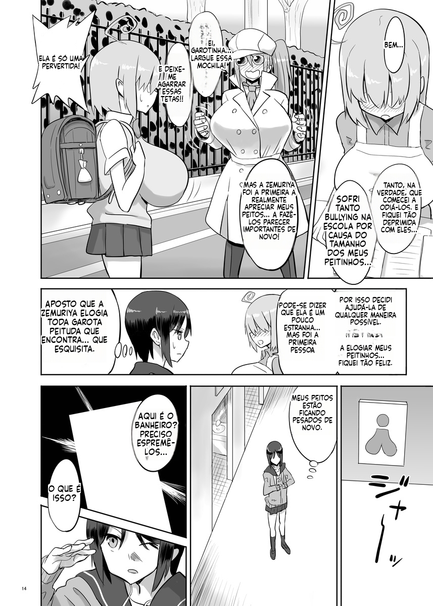 [Chounyuu Kenkyuushitsu (Ishioto)] Zemuriya Report  [Portuguese-BR] - Page 13