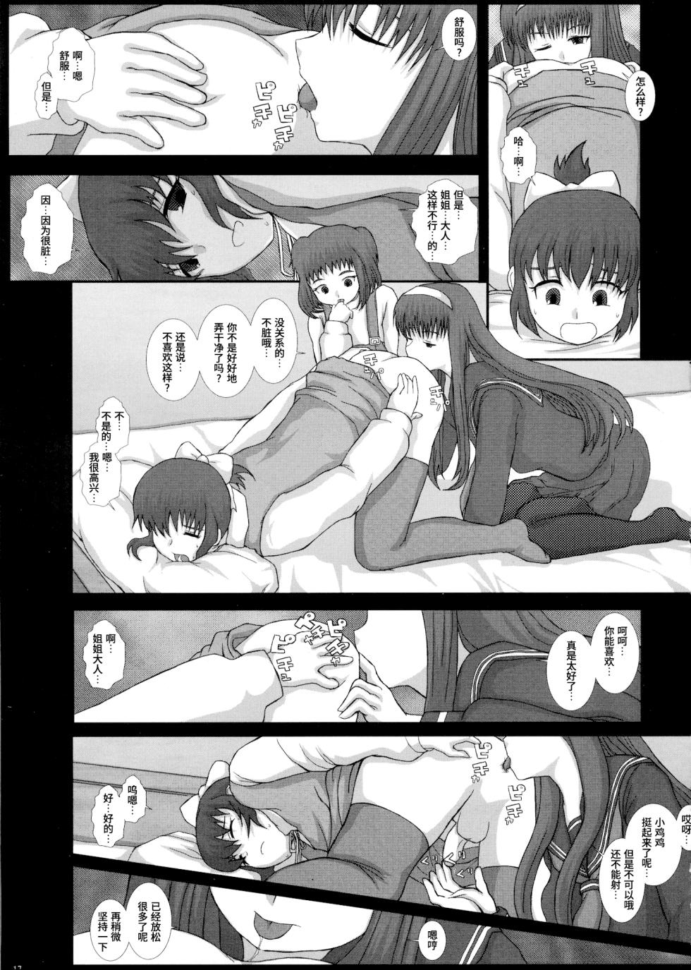 (C79) [Studio30NEKO (fukunotsukuribe)] Mromantik XVII [Chinese] [Bismuth个人汉化] - Page 17