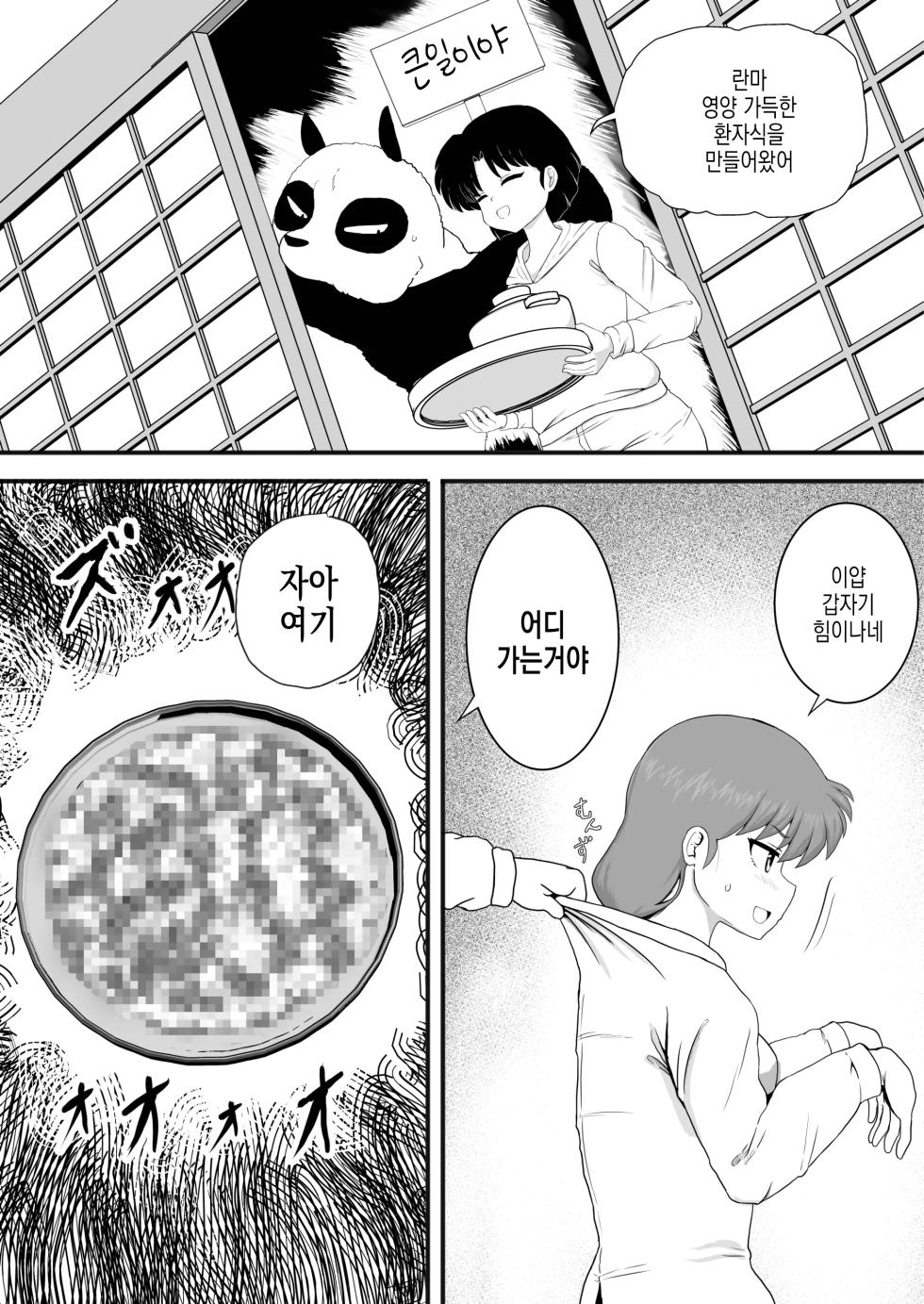[London Meikyuu] Ranma 1+1 | 란마 1+1 (Ranma 1/2) [Korean] [Digital] - Page 13