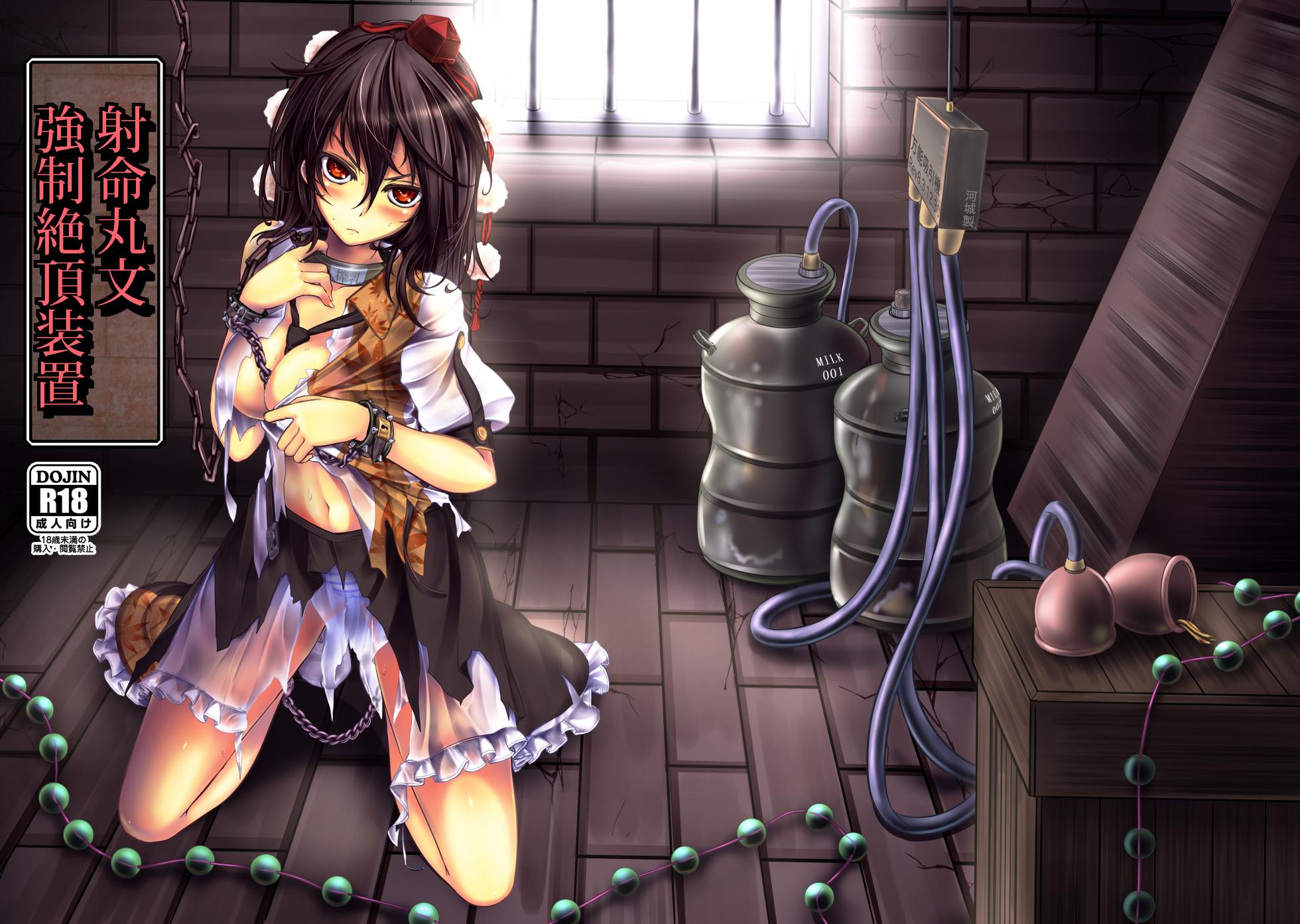 [Monaka Udon (Monikano)] Shameimaru Aya Kyousei Zecchou Souchi (Touhou Project) [Chinese] [Wham1129个人汉化] [Digital] - Page 1