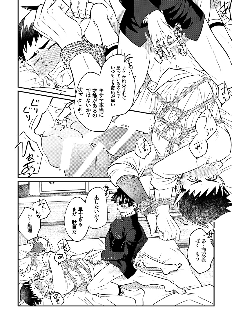 [開封厳禁.doc, ゲキラス［法廷パート］ (れば, 志乃)] 溺れよ学徒！ (Dai Gyakuten Saiban: Naruhodou Ryuunosuke no Bouken) [Digital] - Page 11