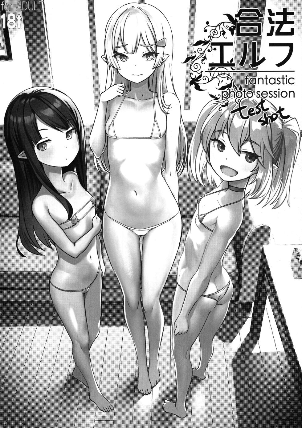 (C102) [AskRay (Bosshi)] Gouhou Elf - Fantastic Photo Session test shot - Page 1